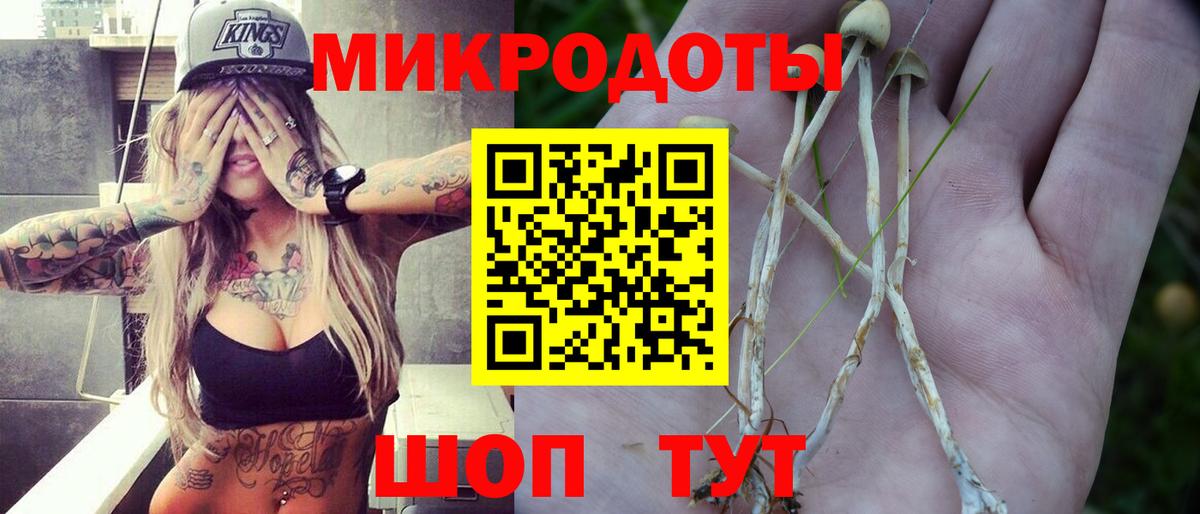 Галлюциногенные грибы мицелий Краснодар